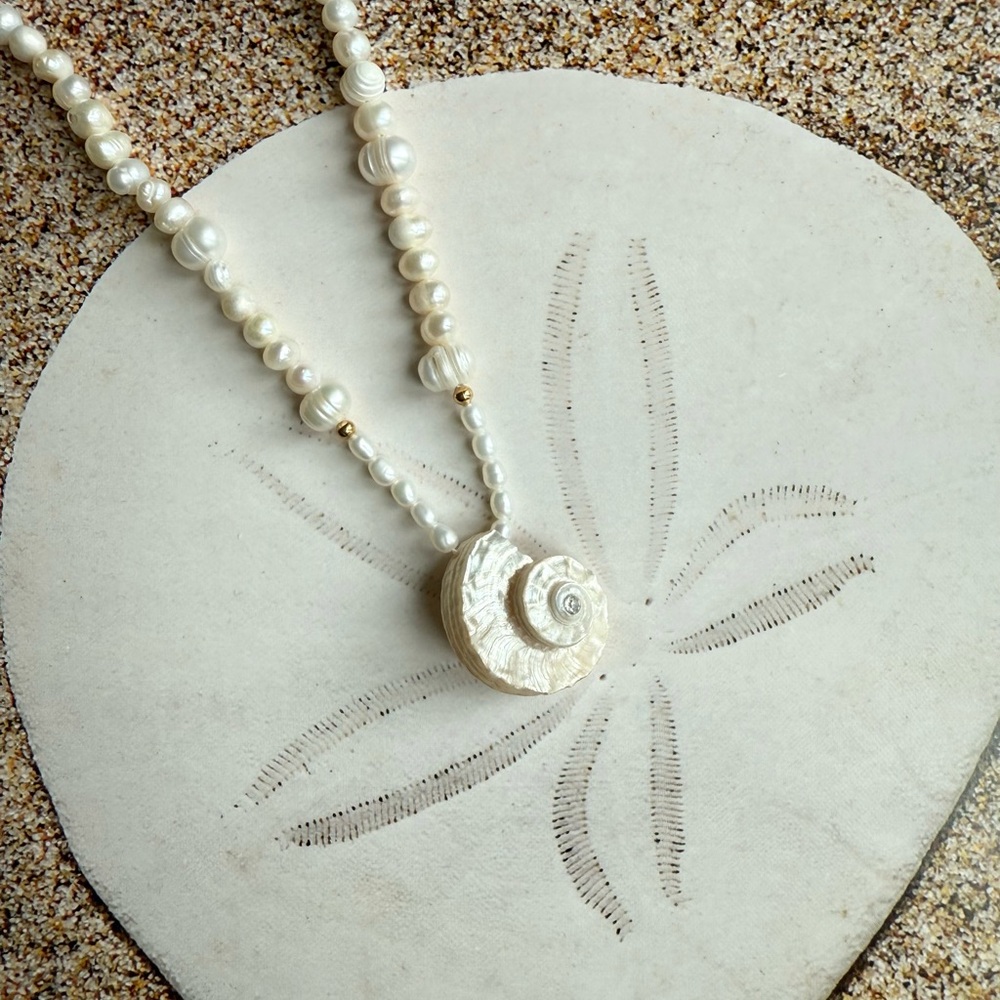 Sea shell necklace